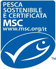 msc